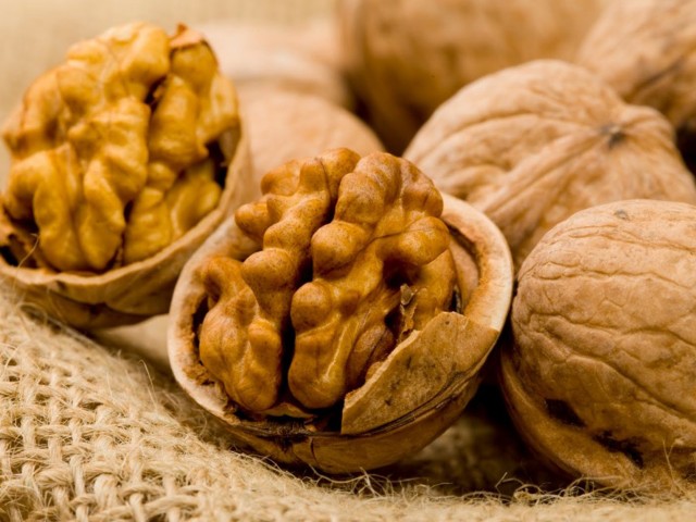 Rasna